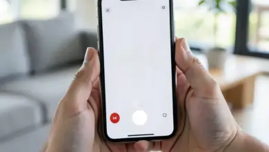 Нові функції камери iphone 17 pro max: на які можливості розраховувати користувачам - ілюстративне фото
