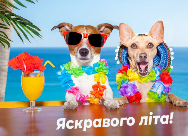 Два собаки в окулярах та квіткових вінках на пляжі з написом 'Яскравого літа!'