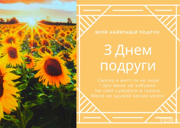 З Днем подруги! Соняшники на заході сонця.