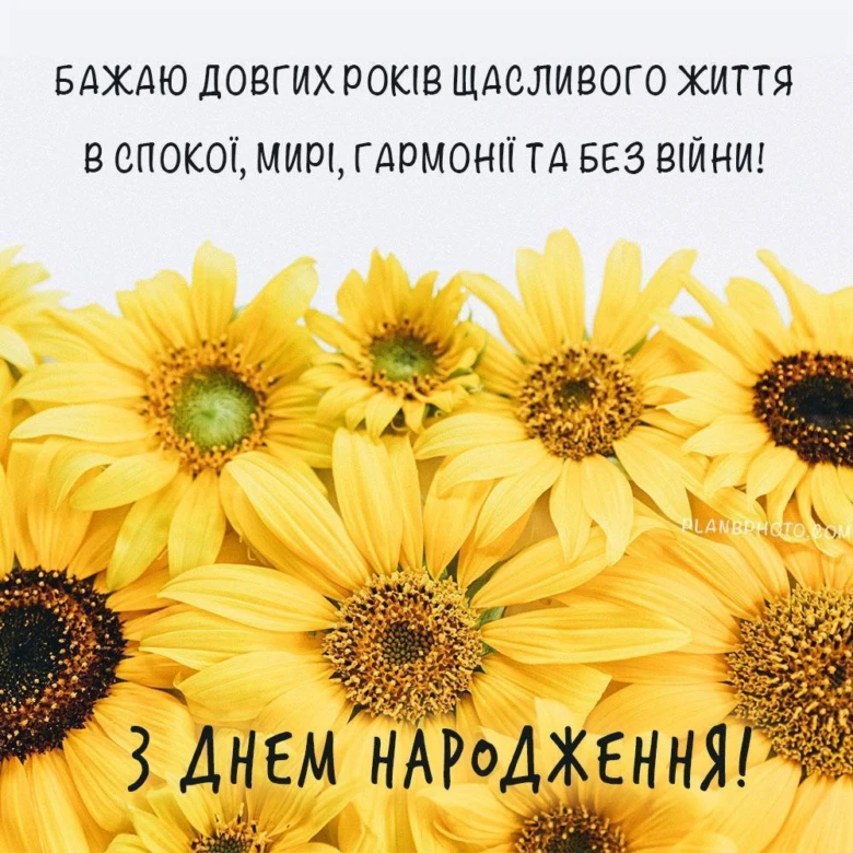 Жовті соняшники з привітанням на день народження українською.