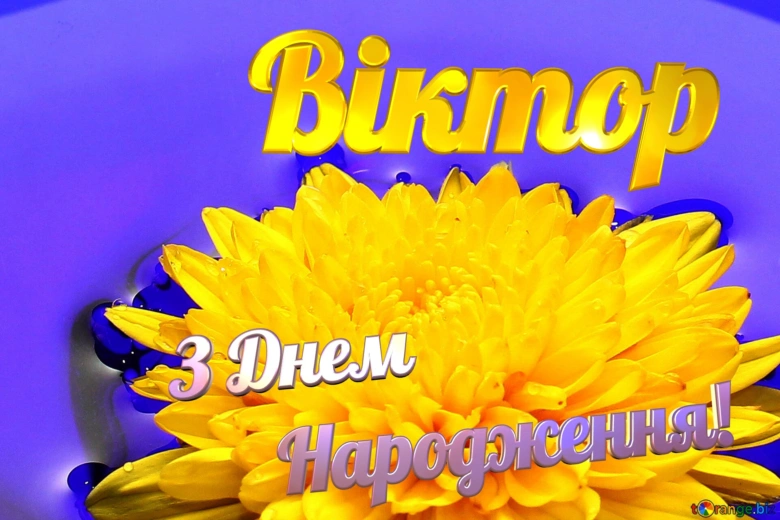 Привітання Віктору з днем народження на фоні жовтої квітки