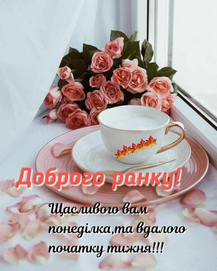 Кавуна в чашці з рожами та квітами на вікні.
