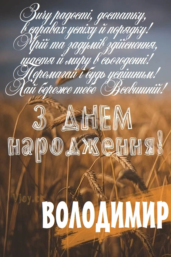 Привітання з днем народження Володимиру на фоні пшениці
