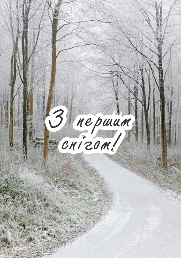 Сніжний ліс з дорогою та написом про перший сніг.