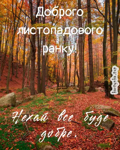 Ліс у осінні кольорах з побажаннями на перший день листопада.