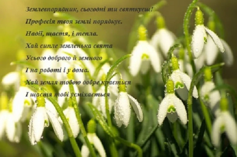 Сніжинки та вірш на честь землевпорядника