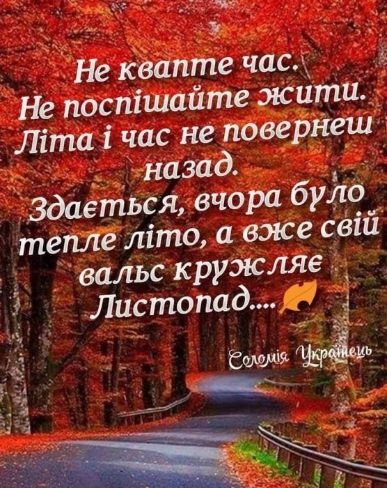 Осення дорога в лісі з листям та українським привітанням.
