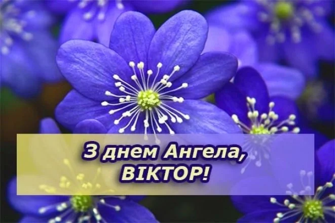 Квіти та привітання Віктору з днем ангела українською.