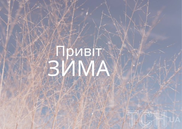 Перший день зими: суха трава на синьому небі.