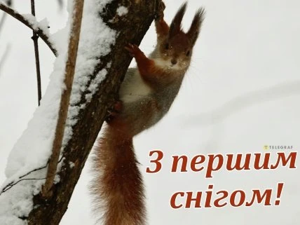 Білка на засніженому дереві з привітанням про перший сніг.