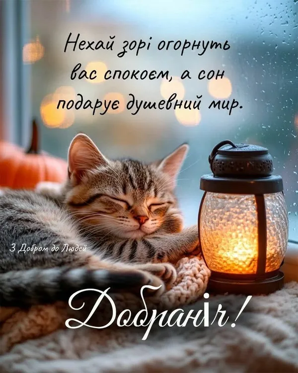 Сплючий кіт поруч із свічкою під дощем.